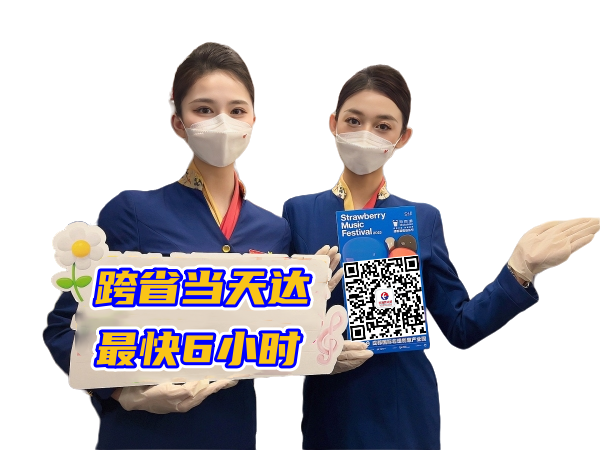 奉贤空运郑州机场